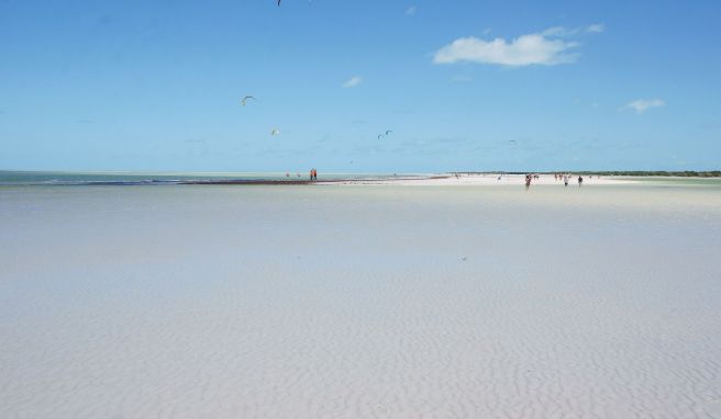 Schwimmen ist schwierig, aber Kitesurfen ist drin: An manchen Stränden der Insel Holbox ist das Wasser sehr flach.