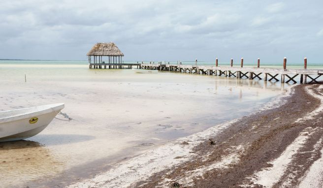 Für manche Menschen ein Ausschlusskriterium: das Seegras an der Playa Punta Cocos auf Holbox.