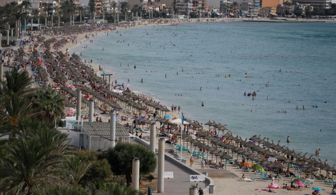 Mallorca: Tram vom Flughafen nach Palma wird gebaut