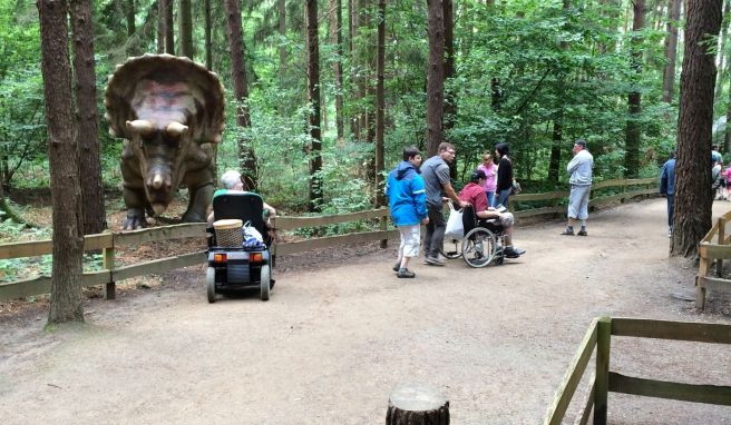 Steht plötzlich ein Triceratops im Wald: Dinofigur im Münchehagener Saurierpark.