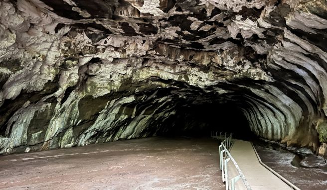 Durch Vulkanausbrüche sind riesige Lavatunnel entstanden. Teile davon kann man im Undara-Volcanic-Nationalpark begehen.