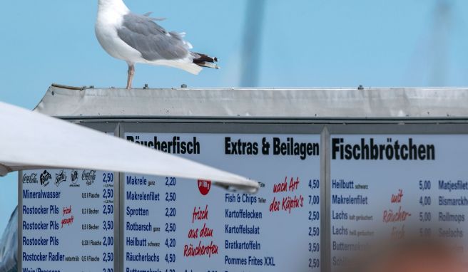 Wo Fischbrötchen verkauft werden, sind Möwen meist nicht weit. Hier haben die Vögel leichte Beute.