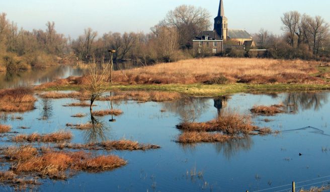 Urige Auenlandschaften prägen das Bild im Millingerwaard.