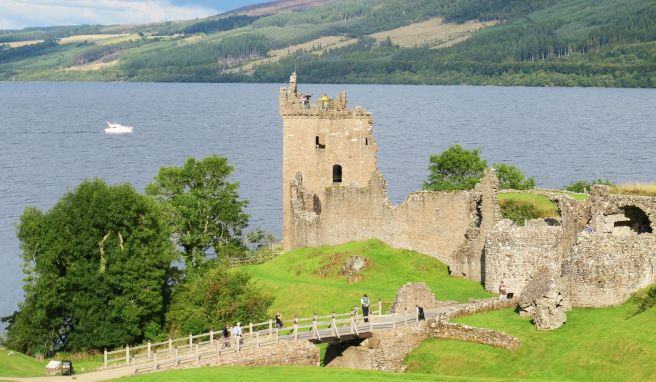 Nessie suchen - und finden? Fünf Wege für eine Annäherung