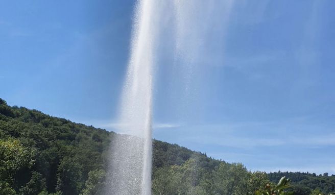 Vulkanisches Kohlendioxid treibt das Grundwasser des Andernacher Kaltwassergeysirs aus gut 350 Metern Tiefe in die Höhe.