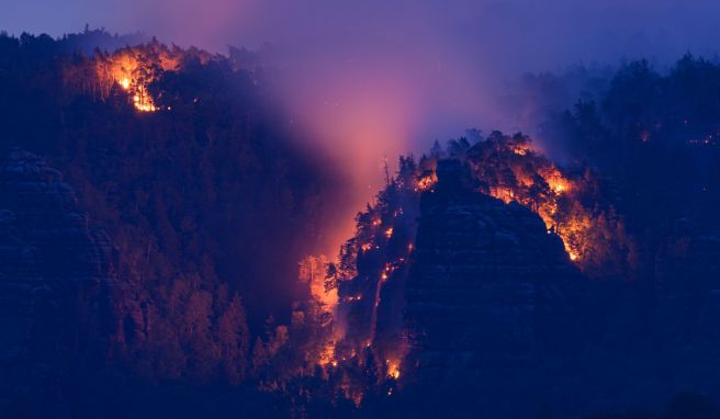 In der sächsischen Schweiz erstreckte sich das Feuer am Dienstagabend über 250 Hektar.