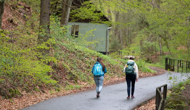 Seit der Corona-Pandemie erlebt das Wandern einen Boom. Sachsen lockt auch mit außergewöhnlichen Touren.