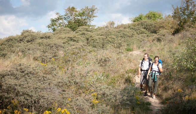 Der Wanderweg bei De Haan führt auch durch die Dünen an der Nordseeküste.