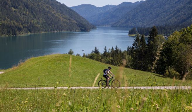 Der Weißensee liegt, eingebettet von Berggipfeln, am westlichen Zipfel des Rad-Rundwegs.