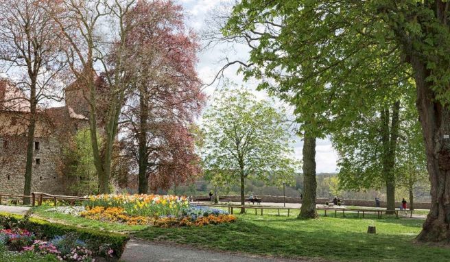 Der Burggarten ist eine grüne Oase und bietet einen tollen Ausblick ins Taubertal.