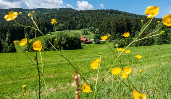 Der Bierfernwanderweg in Bayern