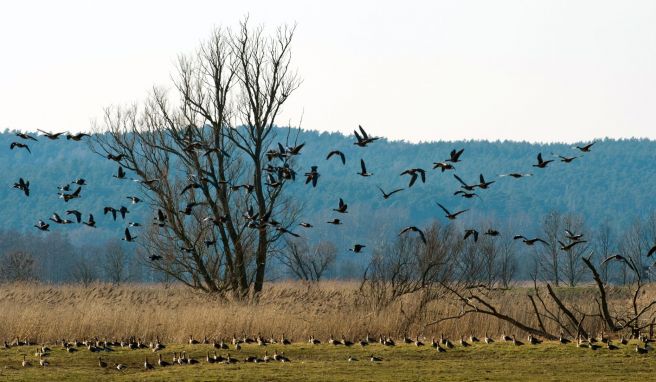 Reise durch das Havelland im Herbst