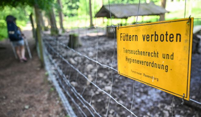 Wildgehege oder Bauernhof: Was Besucher oft verkehrt machen