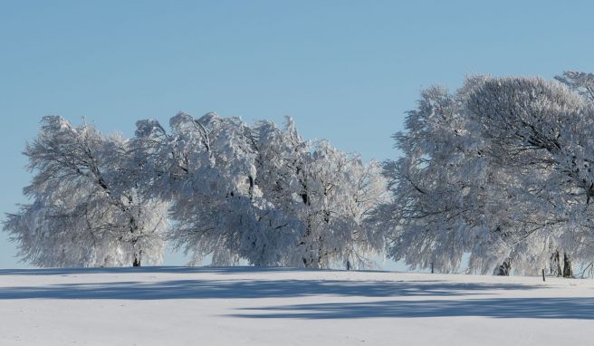 Eins werden mit der Natur: Wer im Winter wandern geht, kann diesem Ziel ein Stück näher kommen.