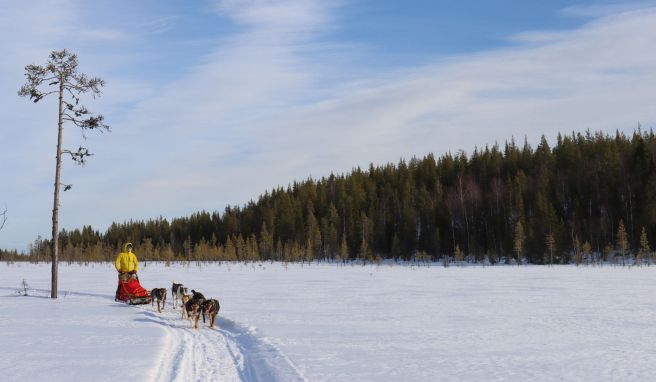 Nach der Arbeit in den Schnee: So könnte die Winter-Workation im finnischen Lappland aussehen.