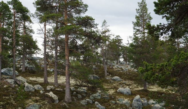 Der Nationalpark ist ein Trekkinggebiet für Selbstversorger.