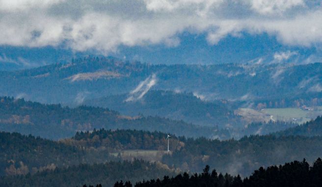 Der Bayerische Wald nahe Viechtach: Der Bierfernwanderwag führt in seiner Kernrunde auf 109 Kilometern Länge durch das Mittelgebirge im Osten des Freistaats.