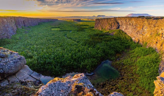 Plötzlich wird es grün: Ásbyrgi ist eine üppige Landschaft, eingebettet in einem hufeisenförmigen Canyon.