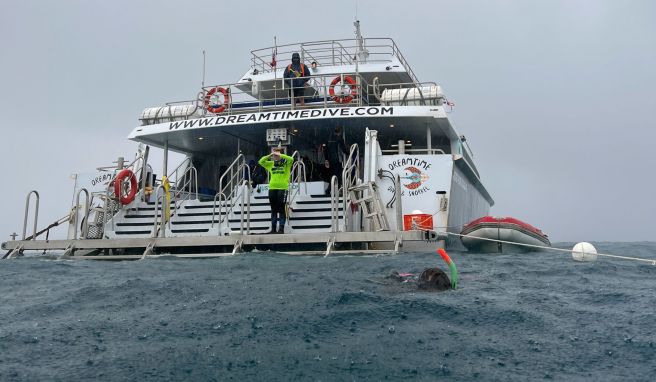 Das Wetter kann man sich nicht aussuchen. Doch auch bei Seegang und Regen vor der Küste von Cairns, kann man noch gut Schnorcheln gehen.