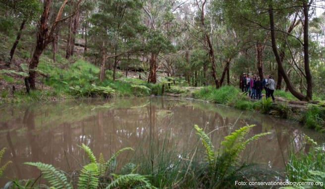 Im Herbst 2021 soll der Grampians Peaks Trail fertig sein