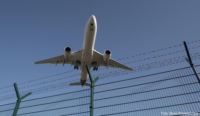 Fliegen ohne Flugscham: Der Luftverkehr soll klimaneutral werden - aber wie?