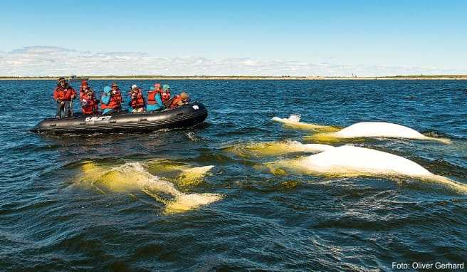 Reise nach Kanada: Abenteuerurlaub in Manitoba und Saskatchewan