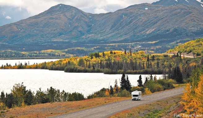 Auf einer Reise durch das Yukon Territory garantiert: Begegnungen mit Bären, großartigen Landschaften und indianischer Kultur