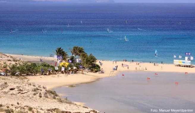 Fuerteventura hat schöne Strände - und viel Wind. Daher kommen auch Windsurfer gerne