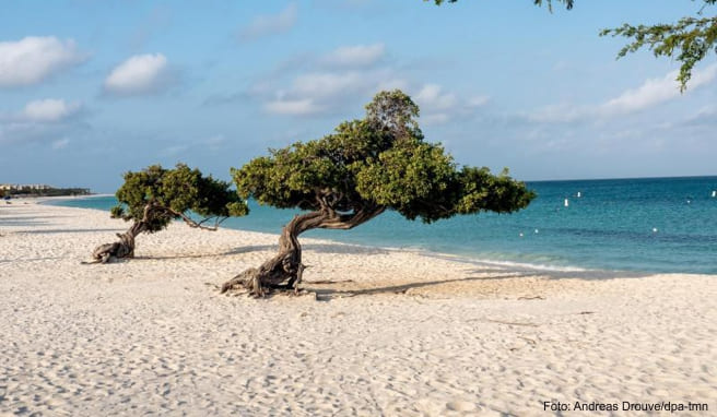 Karibik mal anders: Acht Reisetipps für die Insel Aruba