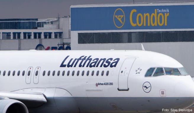 Kranich gegen Condor: Lufthansa beendet Zubringerdienste im Sommer 2021