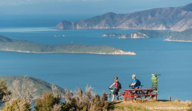 Neuseeland-Reise: Mit dem Fahrrad durch die Marlborough Sounds