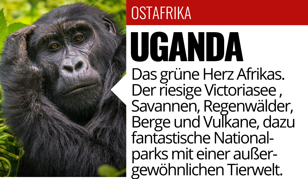 UGANDA Das grüne Herz Afrikas